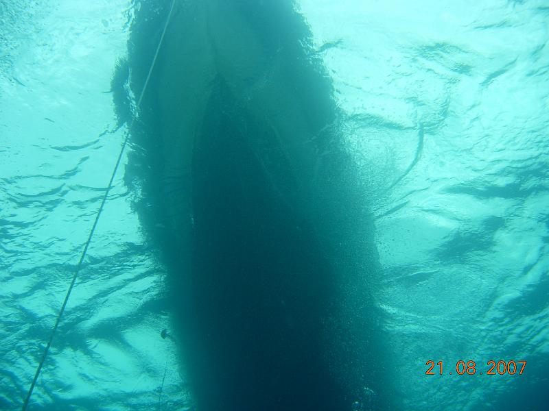 DSCN5985